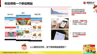 互聯(lián)網(wǎng)食品營銷解決方案 信息技術咨詢服務精華解析